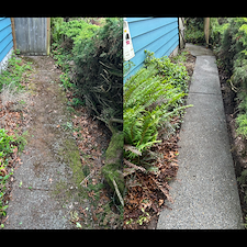 High-Quality-Pressure-Washing-in-Seattle-WA 2